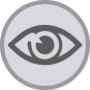 icon vision
